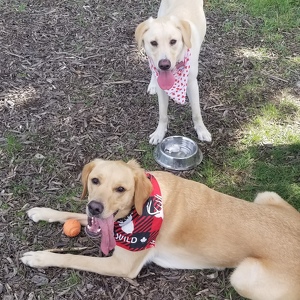 Fundraising Page: Michelle Farrow